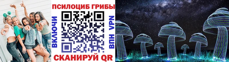 ОМГ ОМГ вход  наркотики  Верея  Псилоцибиновые грибы MAGIC MUSHROOMS 